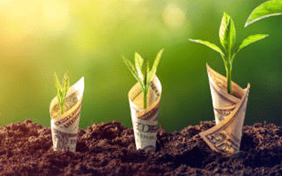From Dirt to Dollars: The Hidden Costs (and Opportunities) in Ground-Up Self Storage Development
